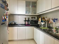 The Metropolitan Condominium (D3), Condominium #146870762